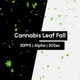 Cannabis Green Leaf Falling with Alpha - VideoHive Item for Sale
