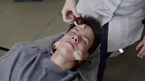 Beautician's Hands Applying Crawling Snails on Man's Face for Skin Rejuvenation alt