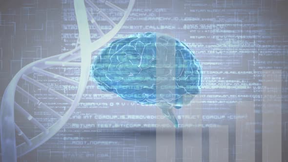 Digital brain and DNA helix with program codes alt