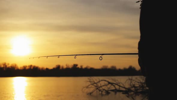 Fisherman catches a fish alt