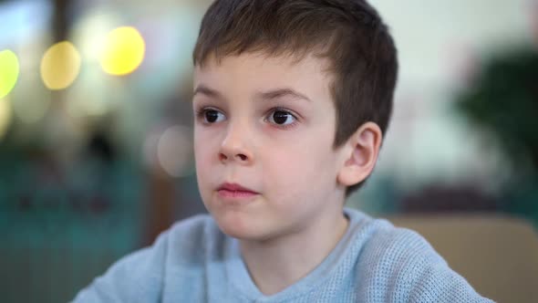 Preschooler Boy Eats Chicken Nuggets From Fast Food Restaurant alt