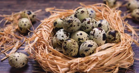 Quail Eggs in Nest on Wood 