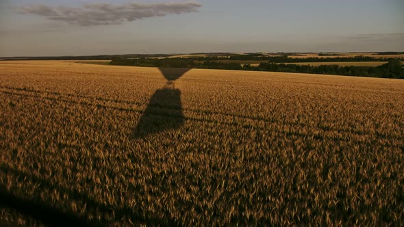 Aerostat Take Down at Wheat Field at Sunset Time