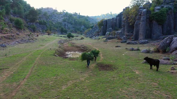 Lansdcape with Rock Formations Farmers and Cow on the Green Pasture alt