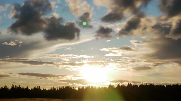 Sunset Sun Over the Forest.