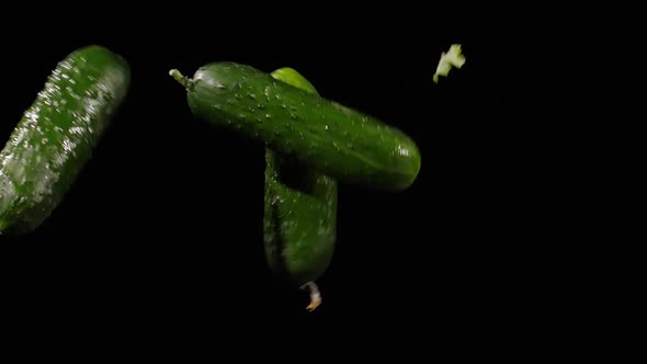 Wet Fresh Three Cucumbers Fly Up and Spinning on a Black Background in Slow Motion Shot alt