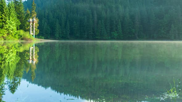 Beautiful Nature and a Wonderful Landscape with Lush Green Forests and Vegetation Around the Pearl