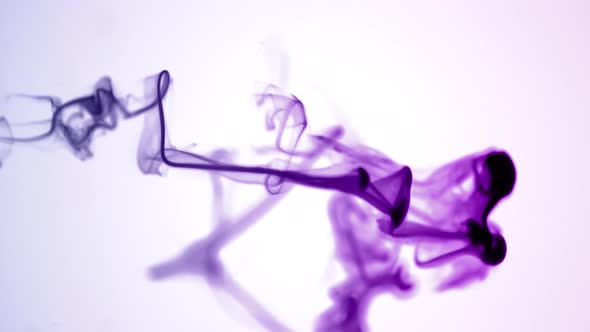 Isolated Purple Violet Ink Cloud in Macro Slow Motion