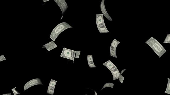 Money Rain