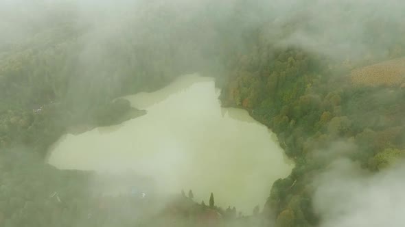 Fog Forest With Lake alt