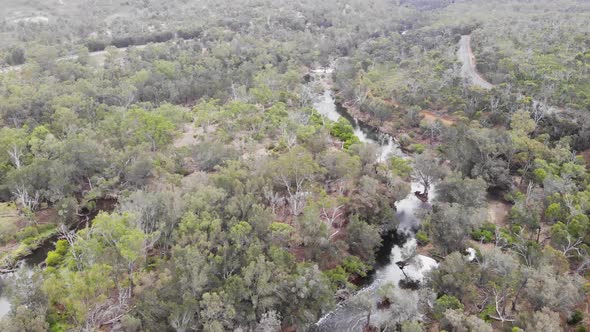 Aerial View of a Forest River in Australia