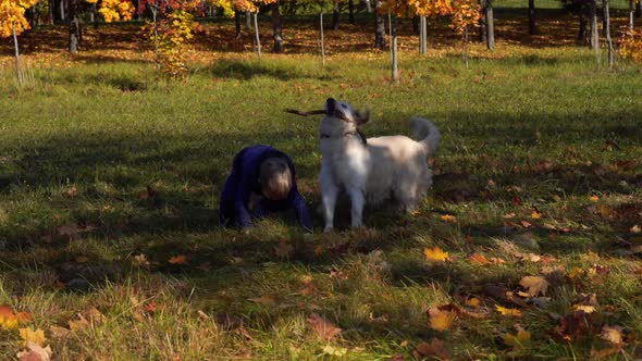 Happy Little Boy Is Having Fun Playing in the Autumn Park with a Big Dog