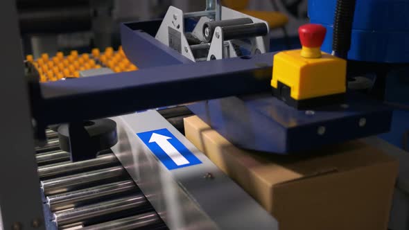 Cardboard Box on the Industrial Conveyor Line alt