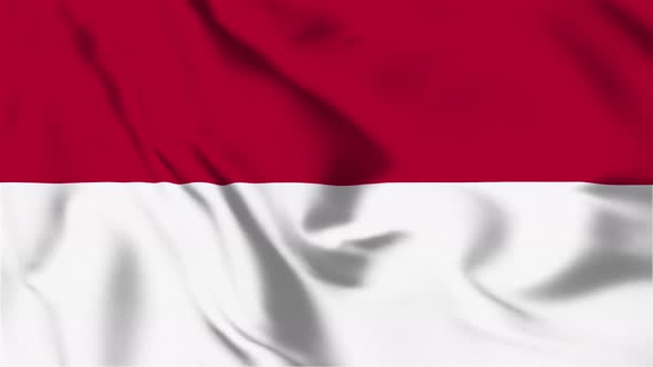 4K Indonesia Flag - Loopable alt