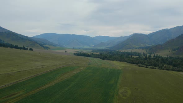 Green fields and mountains in Altai