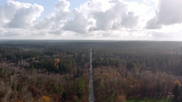 Aerial autumn view over a wide forest with a straight street with driving cars. 4K drone footage fly alt