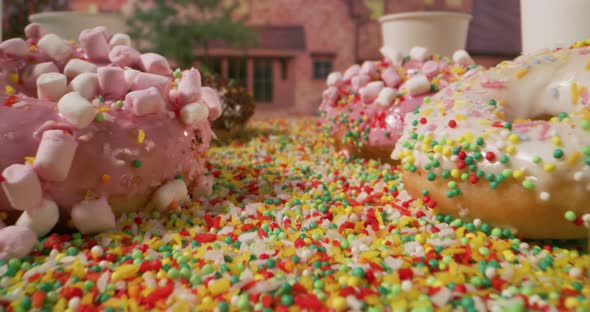 Colorful Donuts Arranged in Rows alt