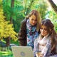 Bloggers in Park Using Laptop and Discussing Strategy - VideoHive Item for Sale