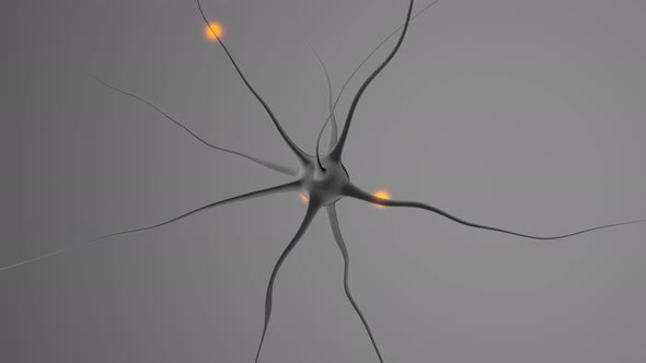 3D rendered Animation of a neural cell	