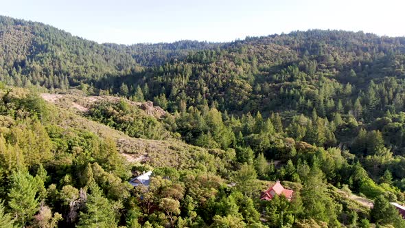 Aerial View of the Verdant Hills with Trees in Napa Valley During Summer Season.  alt