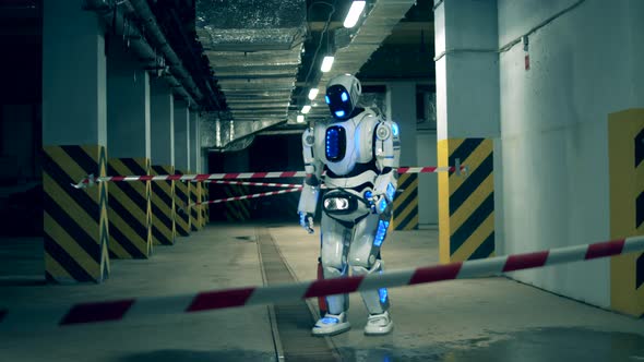 Human-like Robot Is Doing Chemical Treatment of a Garage alt