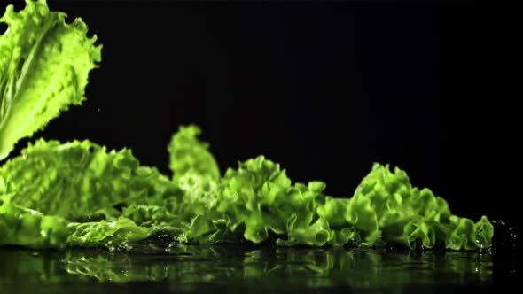 Lettuce Leaves Fall on the Table with Splashes of Water alt