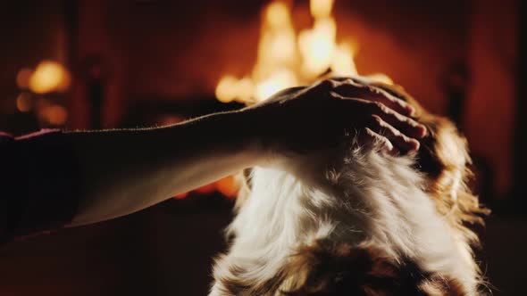 Rear View: Man Strokes His Dog, Which Looks at the Fire in the Fireplace alt