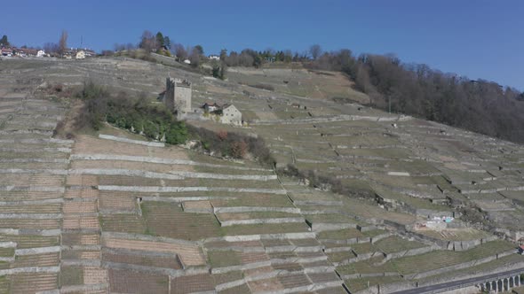 Aerial of old buildings surrounded by large vineyard in rural Switzerland alt