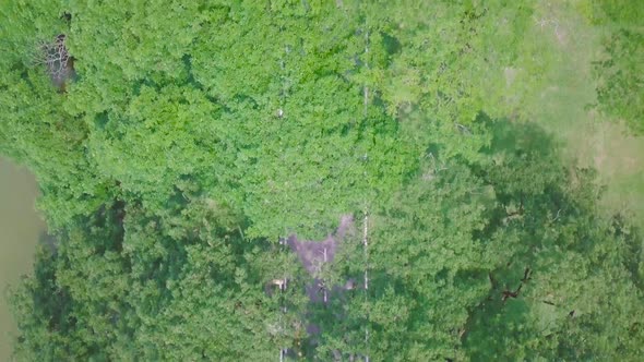 Taiping Lake Drone Shot 