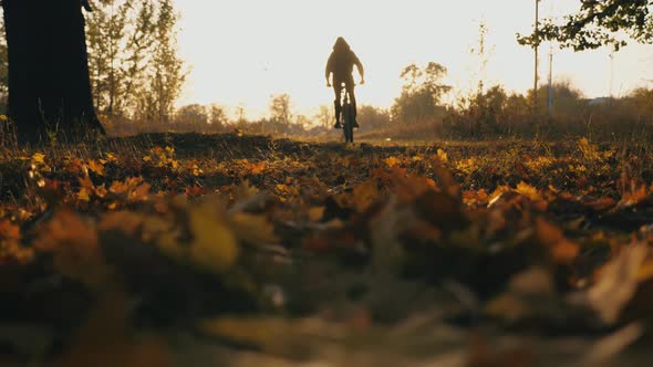 Man in Hood Riding Bicycle Through Autumn Forest at Sunset Background alt