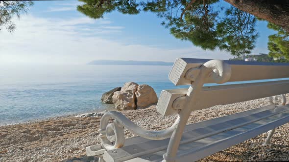 Wooden Bench With Sea View On Beach Under Pine Tree