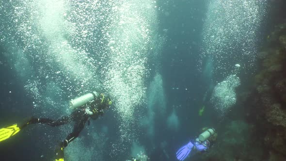 Scuba Divers Underwater alt