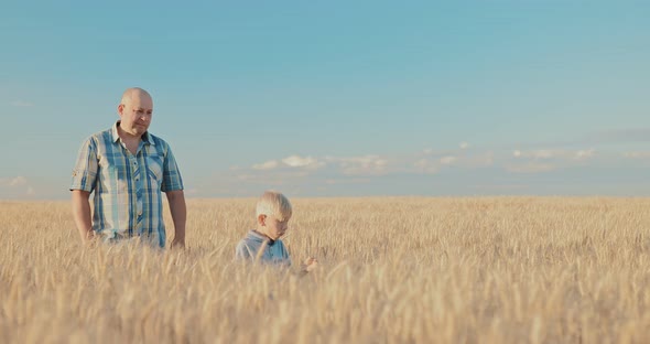 Dad and His Little Son are on a Golden Field
