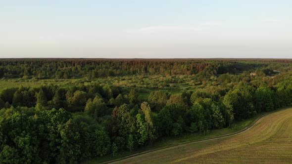 Flying Over Beautiful Country Side Landscape with Field and Trees, on Sunset, Aerial Shot, Drone