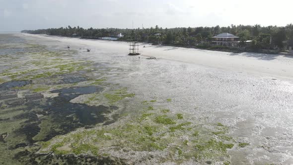 Shore of Zanzibar Island Tanzania at Low Tide Slow Motion alt