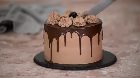 Pastry chef cuts chocolate cake with knife.