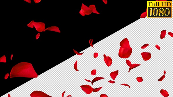 Falling Rose Petals On Alpha Channel Loops V2 alt