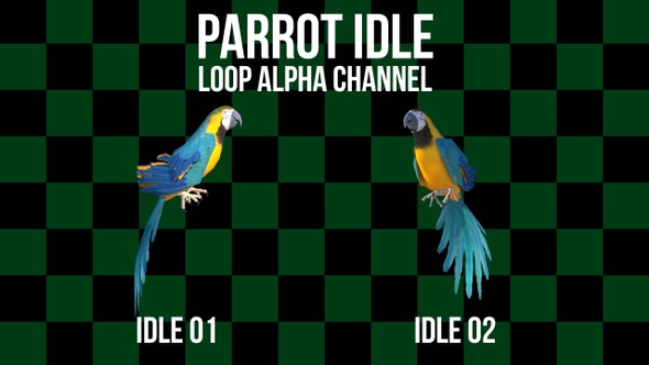Parrot 2 Clip Loop