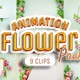Flower Animation Pack - 9 Clips - VideoHive Item for Sale