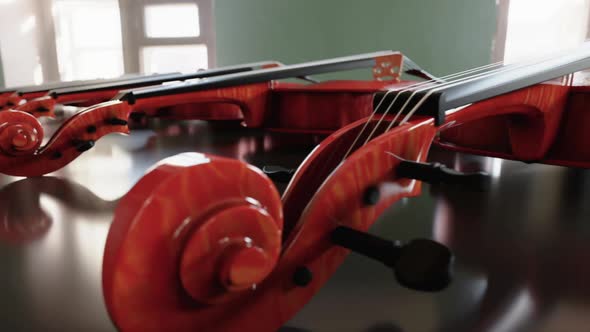 Workshop with Readymade Musical Instruments, Motion Graphics | VideoHive
