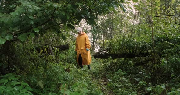 Environmentalist in Hard Hat Yellow Raincoat Walks Through Forest on Wet Grass