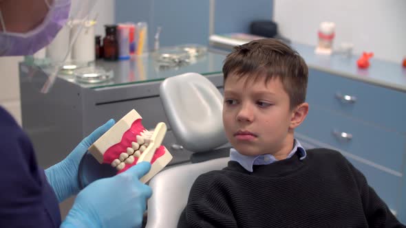 Dentist Teaches Boy to Brush His Teeth Properly