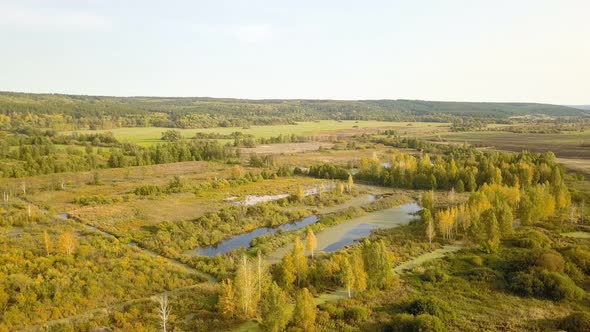 Forest River