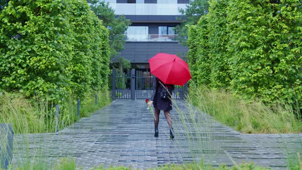 Lady with Rose is Returning From Pleasant Event alt