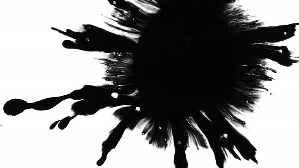 Super Slow Motion Shot of Black Ink Drop Isolated on White Background at 1000 Fps alt