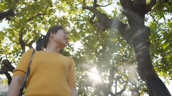 asian female woman freshness and cheerful walking in tropical forest alt