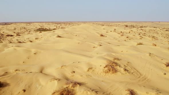 Desert Boundless Scenery with Plants Scorched By Sun, Stock Footage