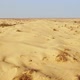 Desert Boundless Scenery with Plants Scorched By Sun - VideoHive Item for Sale
