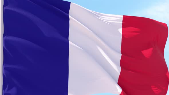 France Flag Looping Background