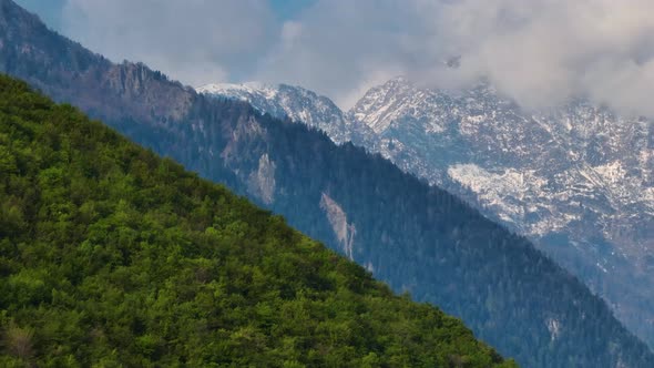 Dense green forest on Italian alp ridgeline with pointed mountain backdrop alt